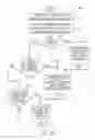 Fig. 07 - Reporting degraded state of data retrieved for distributed object
