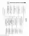 Fig. 12 - Real-time and adaptive data mining