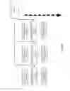 Fig. 13 - Real-time and adaptive data mining