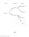 Fig. 10 - Real-time and adaptive data mining