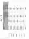 Fig. 06 - System and method for efficient statistical timing analysis of cycle time independent tests