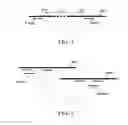 Fig. 03 - Method and device for detecting chromosomal structural abnormalities