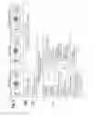 Fig. 03 - Technique for enabling nominal flow of an executable file