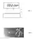 Fig. 02 - Dendritic structures and tags