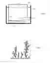 Fig. 05 - Dendritic structures and tags