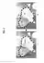 Fig. 04 - Contour correction device, method, and program
