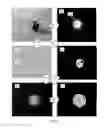Fig. 05 - Salient features tracking apparatus and methods using visual initialization