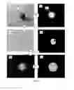 Fig. 05 - Apparatus and methods for saliency detection based on color occurrence analysis