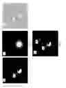 Fig. 07 - Apparatus and methods for saliency detection based on color occurrence analysis