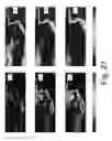 Fig. 28 - Properties link for simultaneous joint inversion