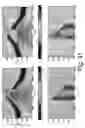 Fig. 32 - Properties link for simultaneous joint inversion
