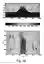 Fig. 33 - Properties link for simultaneous joint inversion