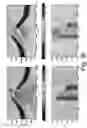 Fig. 37 - Properties link for simultaneous joint inversion