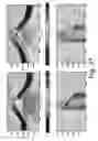 Fig. 38 - Properties link for simultaneous joint inversion