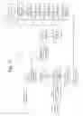 Fig. 14 - METHOD OF ALERTING ALL FINANCIAL CHANNELS ABOUT RISK IN REAL-TIME