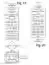 Fig. 20 - METHOD OF ALERTING ALL FINANCIAL CHANNELS ABOUT RISK IN REAL-TIME