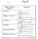 Fig. 24 - METHOD OF ALERTING ALL FINANCIAL CHANNELS ABOUT RISK IN REAL-TIME