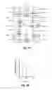 Fig. 05 - Establish image pipeline
