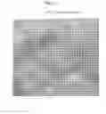 Fig. 13 - High-resolution image generation apparatus, high-resolution image generation method, and high-resolution image generation program