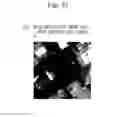 Fig. 34 - High-resolution image generation apparatus, high-resolution image generation method, and high-resolution image generation program
