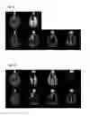 Fig. 12 - Processing imaging data to obtain tissue type information