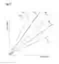 Fig. 23 - Processing imaging data to obtain tissue type information