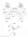 Fig. 05 - Avatar eye control in a multi-user animation environment