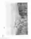 Fig. 12 - Image point of interest analyser with animation generator