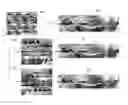Fig. 01 - Presentation of three-dimensional video