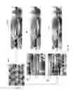 Fig. 24 - Presentation of three-dimensional video