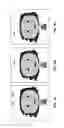 Fig. 14 - Avatar editing environment