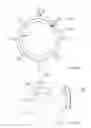 Fig. 14 - Information conveying apparatus