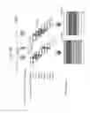 Fig. 56 - Video display method using visible light communication image including stripe patterns having different pitches