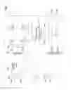 Fig. 02 - Sequential memory operation without deactivating access line signals