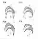 Fig. 04 - Magnetic material and device