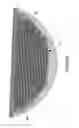 Fig. 06 - Electrical transformer assembly