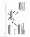 Fig. 02 - Sputtering target-backing plate assembly