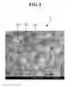 Fig. 03 - SPUTTERING TARGET AND METHOD FOR MANUFACTURING TRANSPARENT CONDUCTIVE FILM USING THE SAME