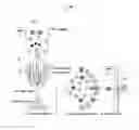 Fig. 01 - Multi-segment injection-capillary electrophoresis-mass spectrometry (MSI-CE-MS): a multiplexed screening platform and data workflow for chemical analysis