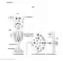 Fig. 02 - Multi-segment injection-capillary electrophoresis-mass spectrometry (MSI-CE-MS): a multiplexed screening platform and data workflow for chemical analysis