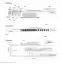Fig. 03 - Multi-segment injection-capillary electrophoresis-mass spectrometry (MSI-CE-MS): a multiplexed screening platform and data workflow for chemical analysis