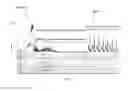 Fig. 04 - Multi-segment injection-capillary electrophoresis-mass spectrometry (MSI-CE-MS): a multiplexed screening platform and data workflow for chemical analysis