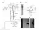 Fig. 01 - Methods and devices for generating double emulsions