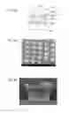 Fig. 10 - Method of processing substrate, substrate processing apparatus, and recording medium