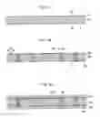 Fig. 04 - PACKAGE SUBSTRATE