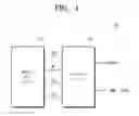 Fig. 02 - Nonvolatile memory device