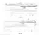 Fig. 06 - Fabrication methods of transparent conductive electrode and array substrate