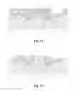 Fig. 08 - Approach for reducing pixel pitch using vertical transfer gates and implant isolation regions