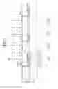 Fig. 04 - Organic light emitting display device