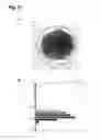 Fig. 13 - Gallium nitride semiconductor substrate with semiconductor film formed therein